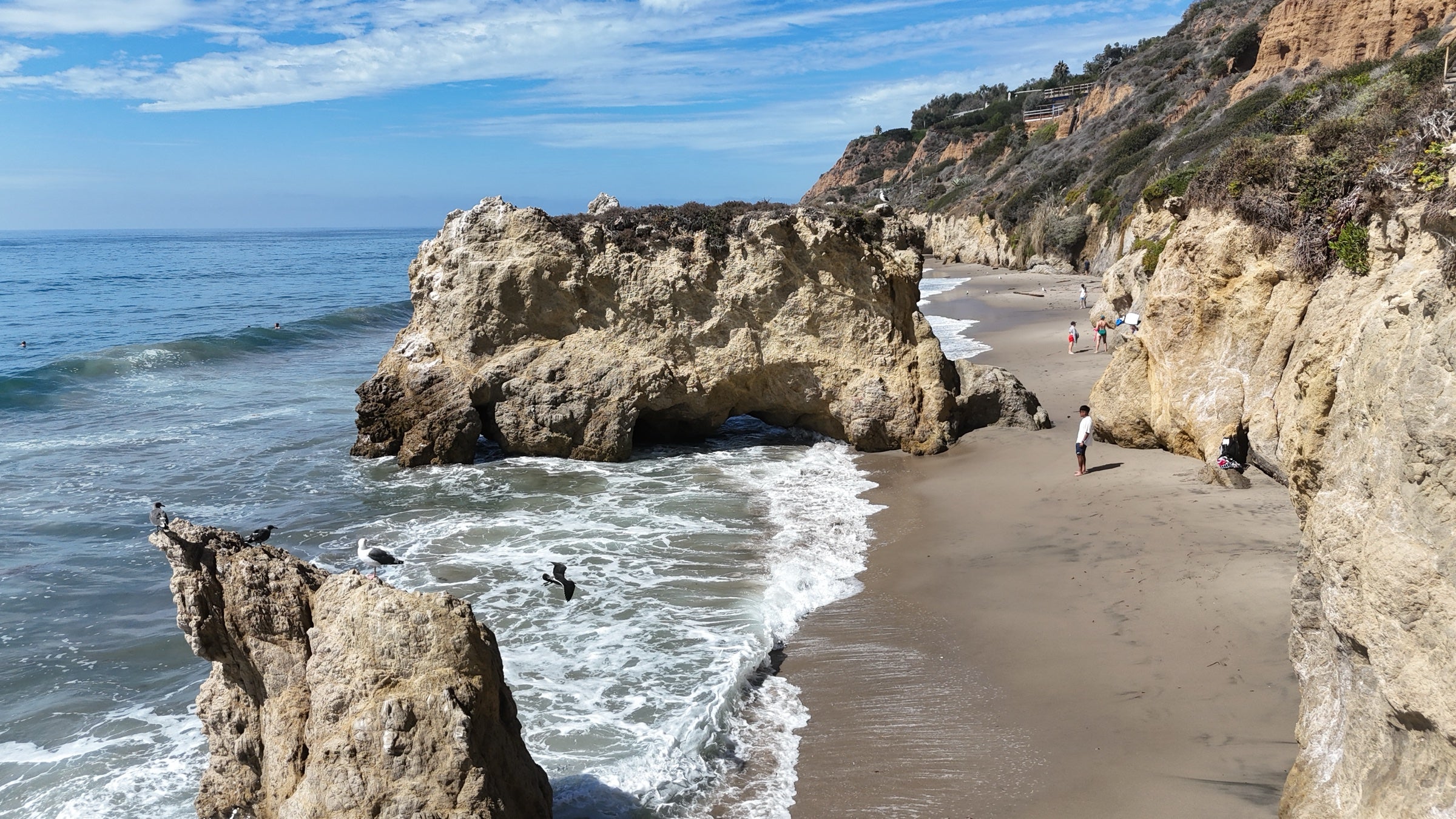 Coastal bluffs and the Pacific shoreline