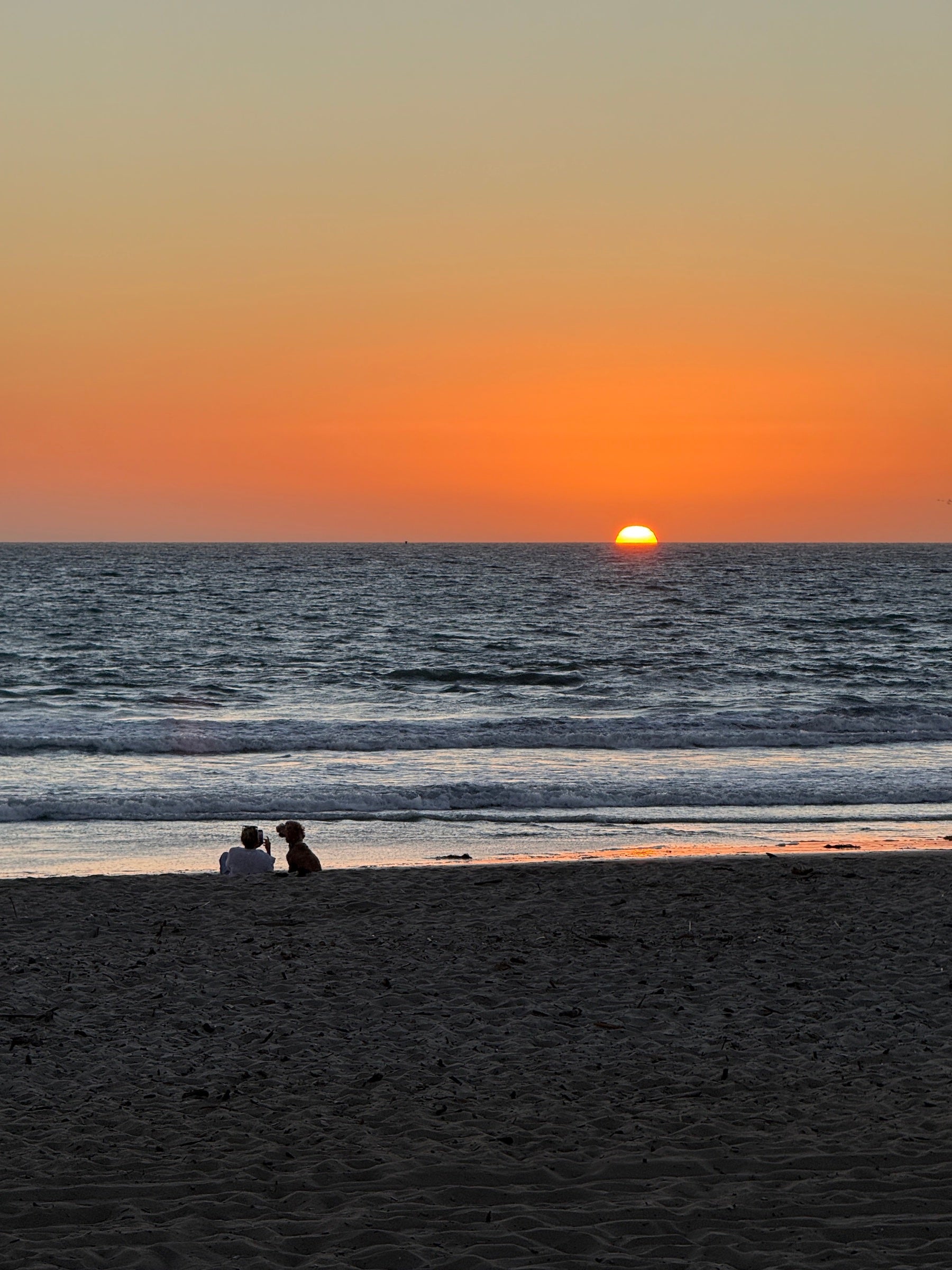 Two people and a dog watching the sunset from the shoreline