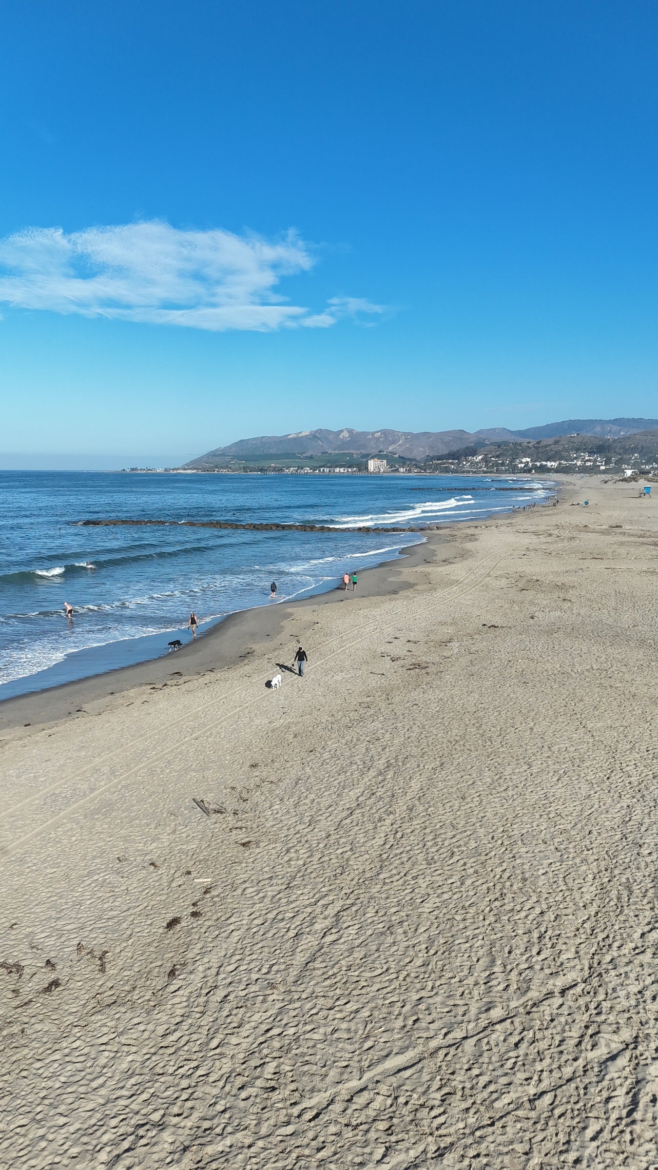 Pacific shoreline viewed from above